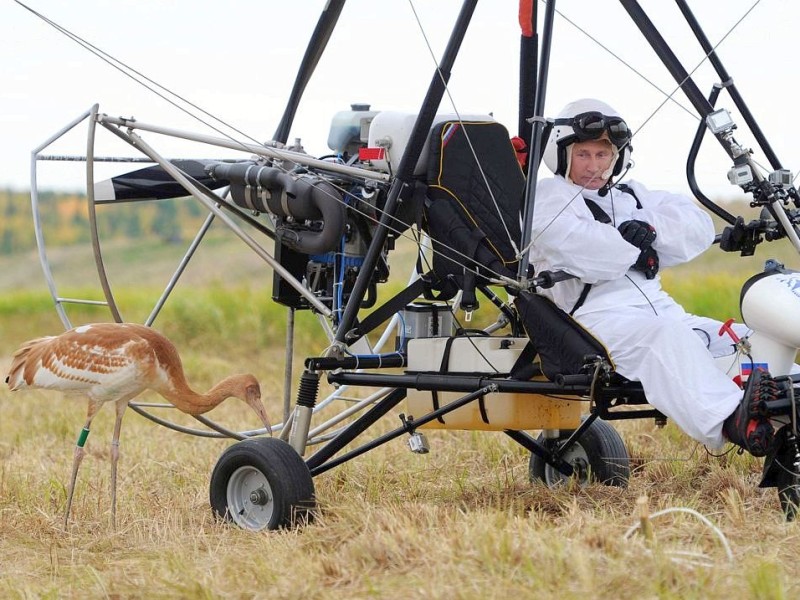 ... als Pilot eines Drachenfliegers eine Gruppe Kraniche in Richtung Süden geführt. Fünf in ...