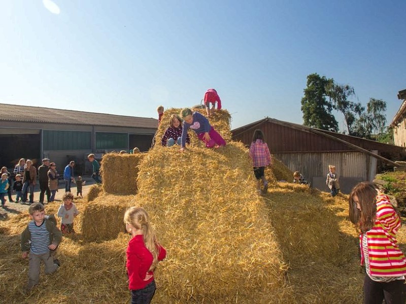 Familie Weber lud auf den Oberschuirshof ein - Foto: Reiner Worm / WAZ FotoPool