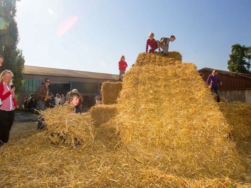 Familie Weber lud auf den Oberschuirshof ein - Foto: Reiner Worm / WAZ FotoPool