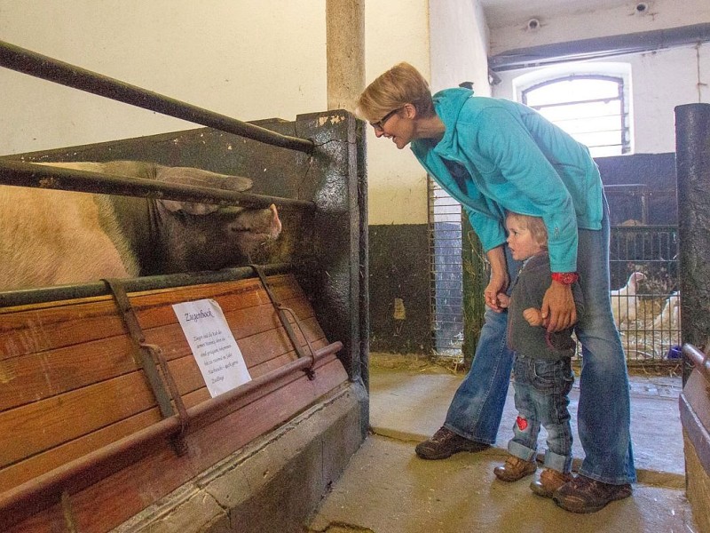 Familie Weber lud auf den Oberschuirshof ein - Foto: Reiner Worm / WAZ FotoPool