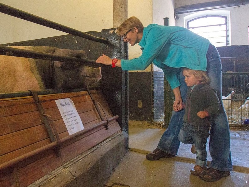 Familie Weber lud auf den Oberschuirshof ein - Foto: Reiner Worm / WAZ FotoPool