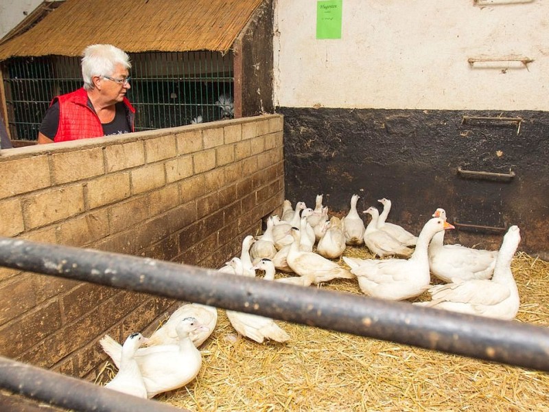 Familie Weber lud auf den Oberschuirshof ein - Foto: Reiner Worm / WAZ FotoPool