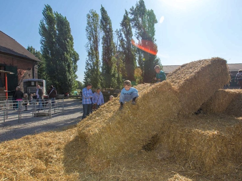 Familie Weber lud auf den Oberschuirshof ein - Foto: Reiner Worm / WAZ FotoPool