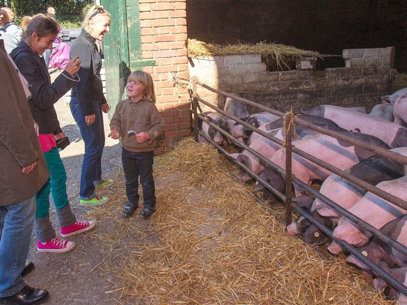 Familie Weber lud auf den Oberschuirshof ein - Foto: Reiner Worm / WAZ FotoPool