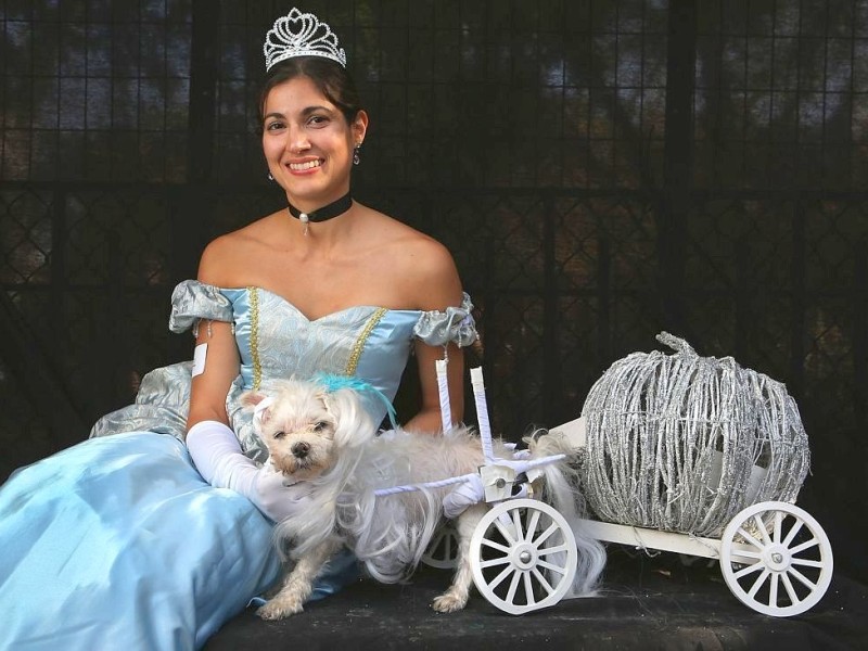 Zum 22. Mal feierten Hundebesitzer vergangenes Wochenende mit ihren Vierbeinern die Tompkins Square Halloween Dog Parade in New York.