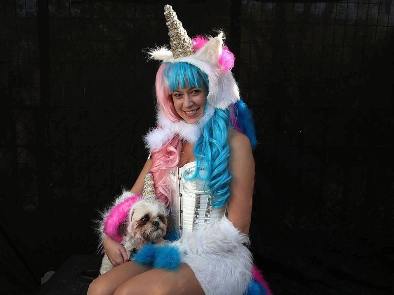 Zum 22. Mal feierten Hundebesitzer vergangenes Wochenende mit ihren Vierbeinern die Tompkins Square Halloween Dog Parade in New York.