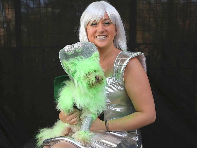 Zum 22. Mal feierten Hundebesitzer vergangenes Wochenende mit ihren Vierbeinern die Tompkins Square Halloween Dog Parade in New York.