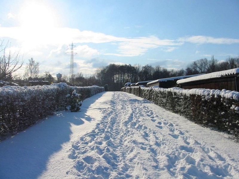 Winter in der Gartenanlage.