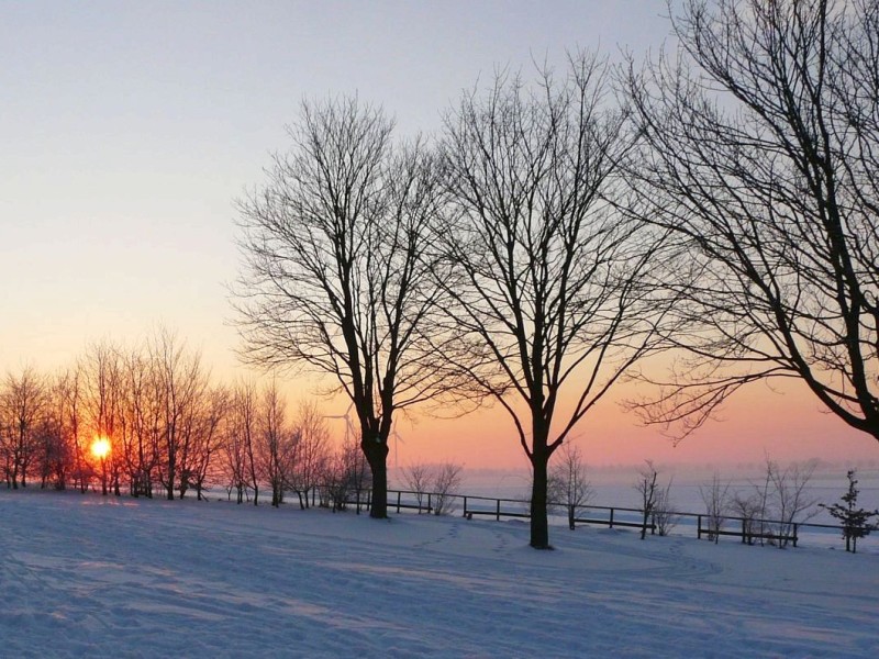 Aufgenommen am 25.12.2010 auf einem Spaziergang am Niederrhein.