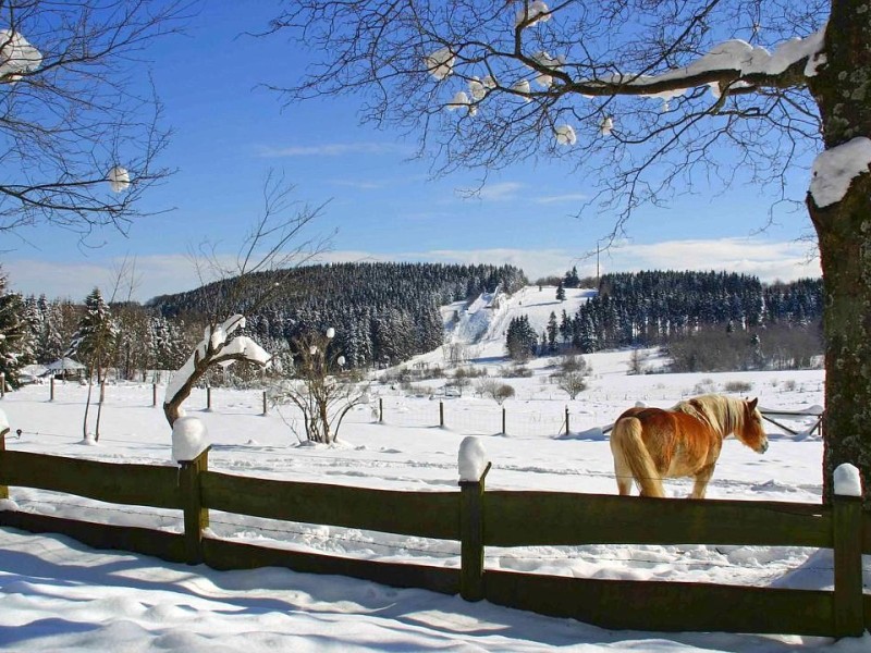 Hilchenbach-Giller (650 m über NN) Februar 2005.