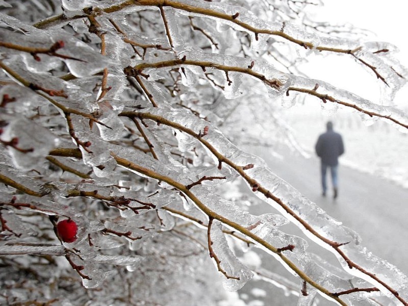 ...Winterspaziergang in Wien schon gemütlicher aus.