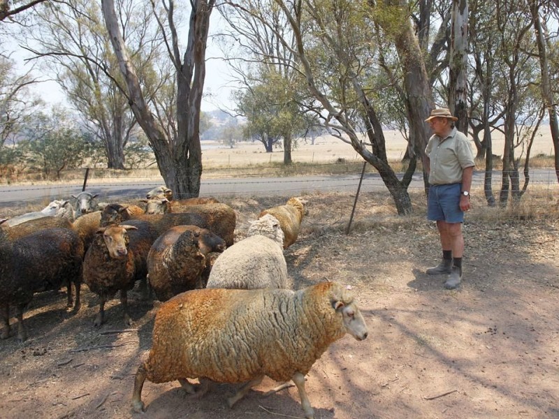 Dutzende Buschbrände bedrohen zur Zeit die Menschen in Australien.