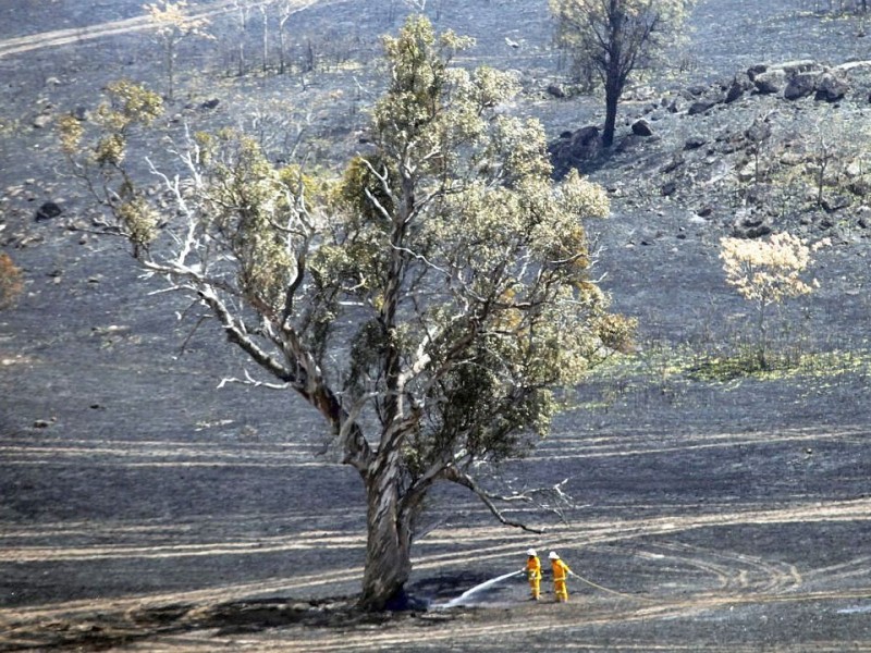 Dutzende Buschbrände bedrohen zur Zeit die Menschen in Australien.