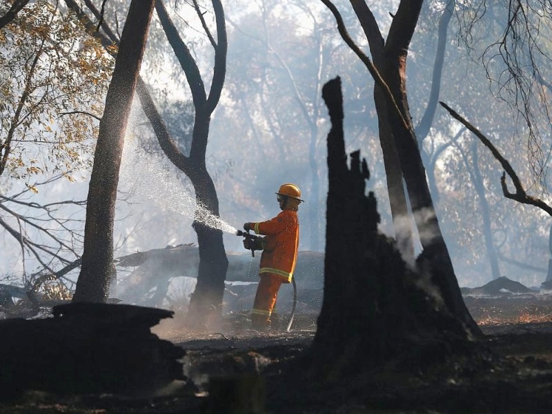 Der australische Wetterdienst rechnete mit weiteren Temperaturanstiegen und sogar mit Rekordwerten von mehr als 50 Grad Celsius.