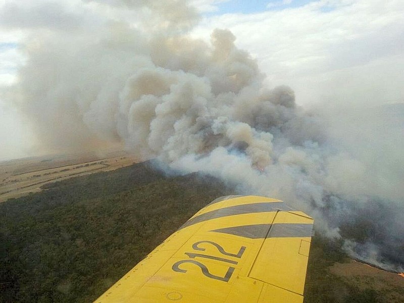 Weite Teile Australiens leiden immer noch unter einer extremen Hitzewelle, die zahlreiche Buschfeuer ausgelöst hat. Im Januar wurde ein landesweiter Hitzerekord mit einer Durchschnittstemperatur von 40,33 Grad Celsius verzeichnet.