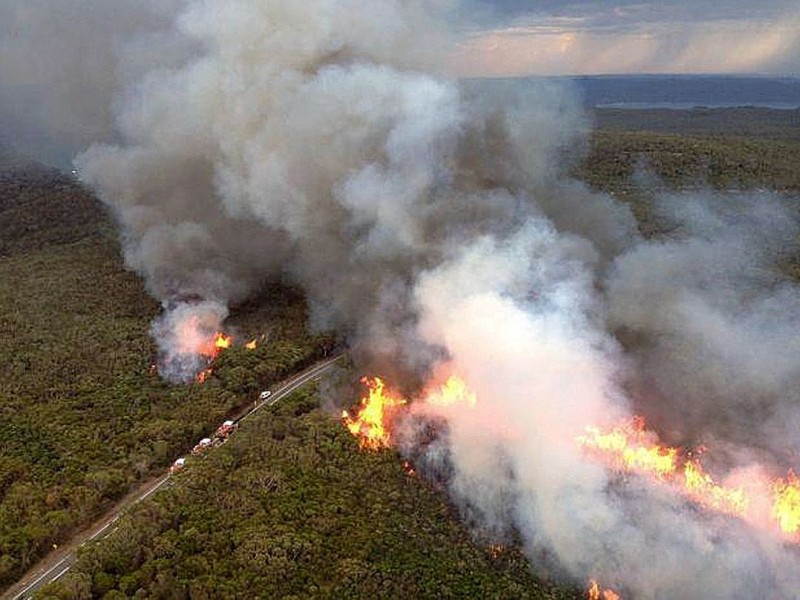 Weite Teile Australiens leiden immer noch unter einer extremen Hitzewelle, die zahlreiche Buschfeuer ausgelöst hat. Im Januar wurde ein landesweiter Hitzerekord mit einer Durchschnittstemperatur von 40,33 Grad Celsius verzeichnet.