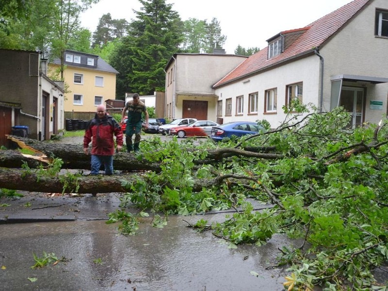 Nach dem Unwetter. Foto: Carmen Fürstenau // IKZ