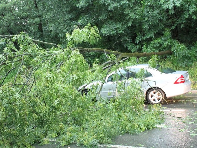 Unwetter in Hagen: Ein Baum stürzte in Schwerter Straße auf ein Auto.