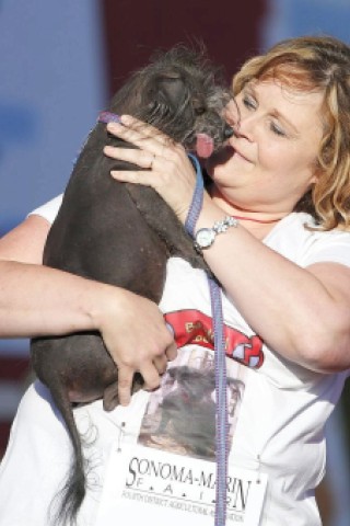 Die weiteren Teilnehmer am Wettbewerb Ugliest Dog waren fast ebenso wunderbar hässlich wie Walle.