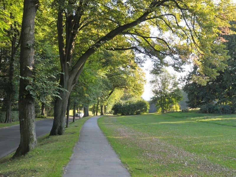 ...der Krupp-Park. Wer hier lang spaziert, kommt irgendwann automatisch...