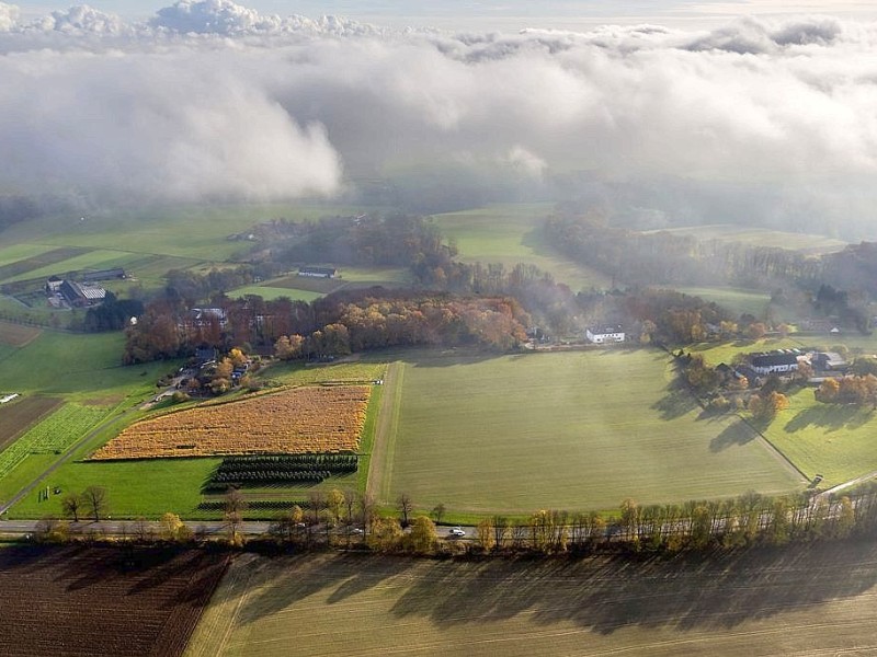 Essen im Herbst.