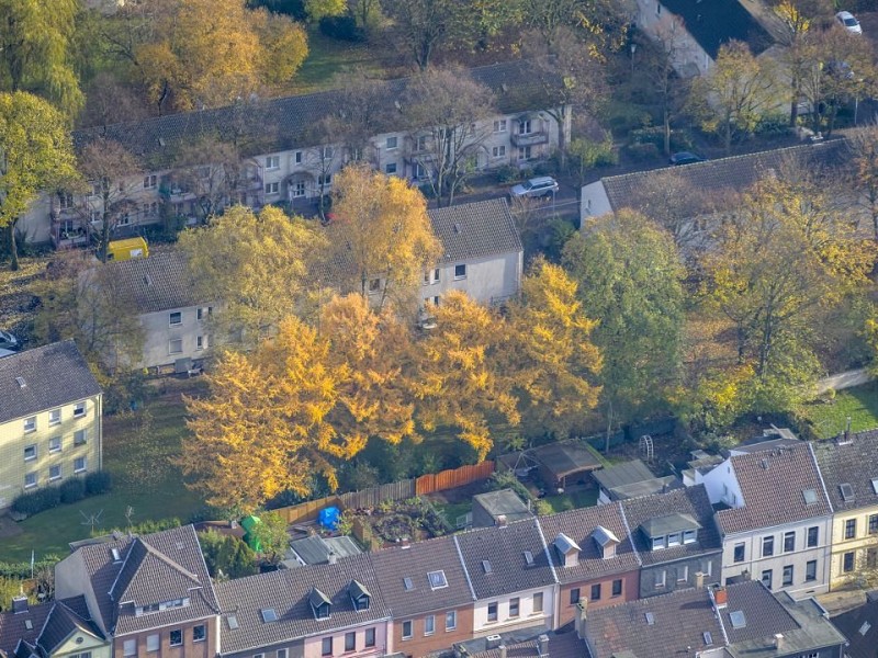 Mülheim im Herbst.