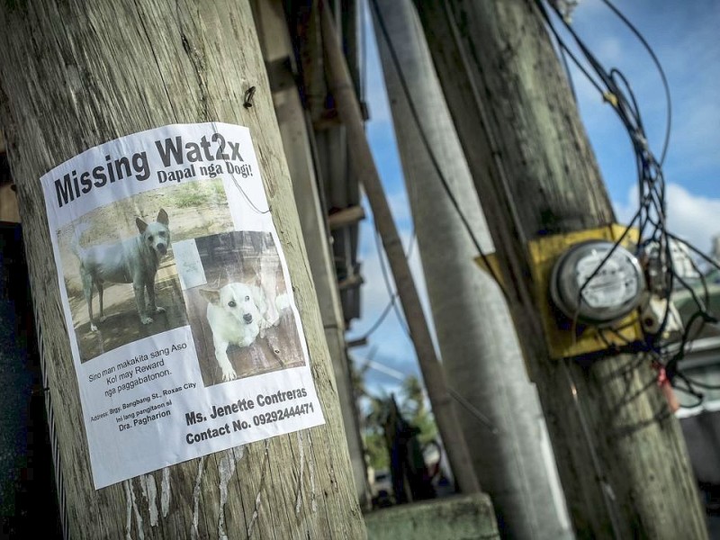 Eine Vermisstenanzeige klebt an einem Strommast in Roxas-City , 29.11.13 Die Katastrophenhelferin Lucile von ACF führt Angelika Böhling durch die Unglücksgebiete 28.11.2013 auf der Insel Panay - Phillippinen    Bild: Jakob Studnar