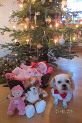 Dies ist ein Foto von meiner 16 Wochen alten Tochter Lucy und meinem Hund Henry an unserem ersten gemeinsamen Weihnachten.