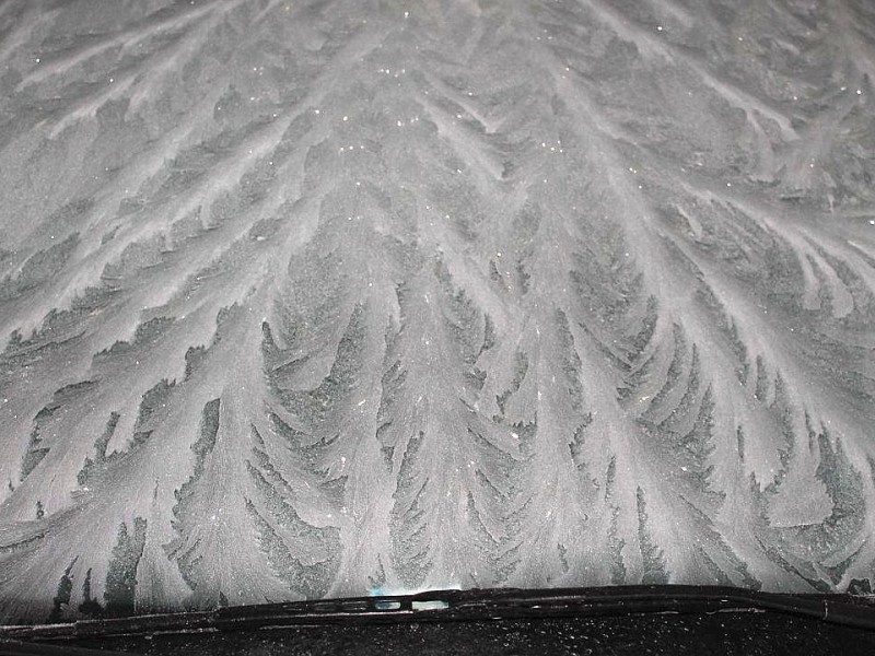 Anbei ein Foto von meiner Autoscheibe. Ich konnte sie einfach nicht frei kratzen ohne sie zu fotografieren. Da kommt doch wirklich Sommerfeeling auf bei dem Palmenmotiv, schreibt Mareike Braun aus Winterberg.