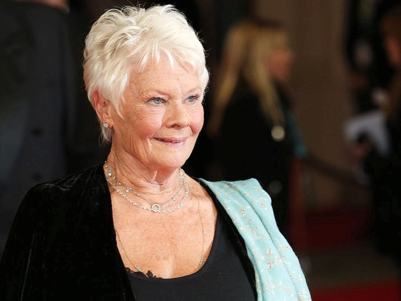 Nominiert als beste Hauptdarstellerin:  Judi Dench in Philomena