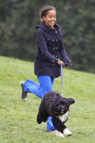 Barack Obamas älteste Tochter ist kein Kind mehr: Malia Ann feiert am Montag, genau am amerikanischen Unabhängigkeitstag, ihren 13. Geburtstag und ist damit nach gängiger Definition ein Teenager. Ob sie an ihrem Ehrentag das Gassigehen mit Bo, dem tierischen Medienliebling im Weißen Haus, an Schwester Sasha (10) abtreten darf, ist nicht bekannt. Klar ist aber: Als Barack Obama...