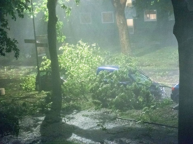 Mehrere Autos sind nach orkanartigen Sturmböen von herabfallenden Ästen und ganzen Bäumen in Bochum beschädigt worden.