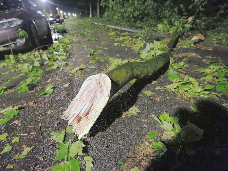 Starke Unwetter über NRW und dem Ruhrgebiet in Oberhausen: An vielen Bäumen sind Äste abgebrochen, die Straßen sind mit abgegrochenen Ästen bedeckt.