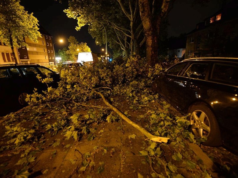 Essen, nach dem Gewitter liegen abgerissene Äste und ein Blättermeer auf Straße und Gehwegen an der Töpfertstraße.