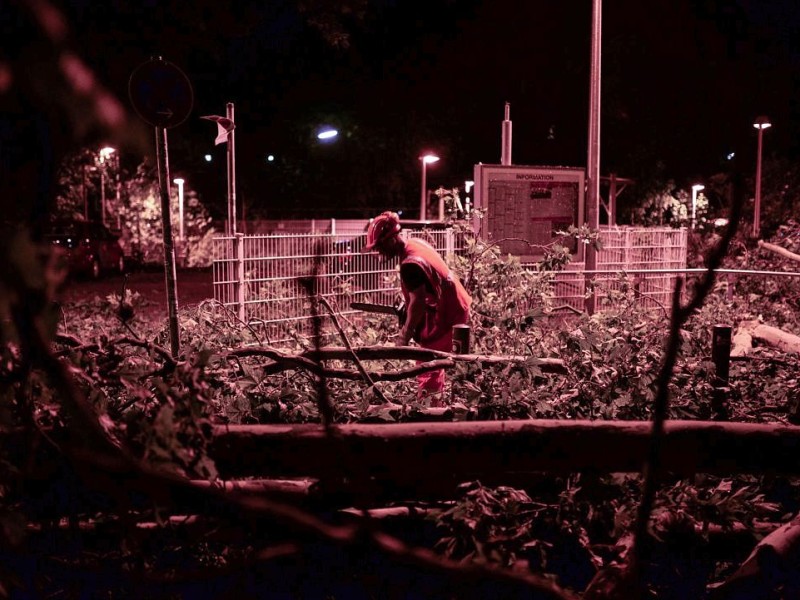 Wie hier in Dortmund mussten die Feuerwehr und andere Hilfsdienste ausrücken, um umgestürzte Bäume von den Straßen zu bergen.