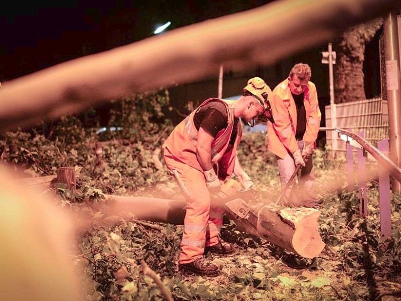 Wie hier in Dortmund mussten die Feuerwehr und andere Hilfsdienste ausrücken, um umgestürzte Bäume von den Straßen zu bergen.