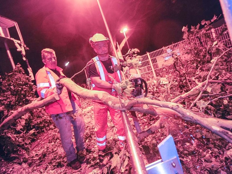 Wie hier in Dortmund mussten die Feuerwehr und andere Hilfsdienste ausrücken, um umgestürzte Bäume von den Straßen zu bergen.