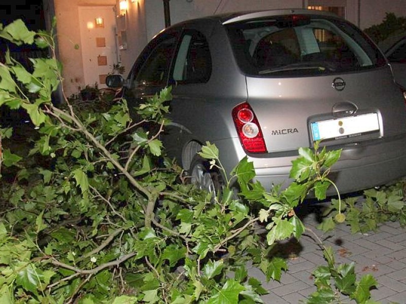 ...hatten Bäume mehrere Autos begraben.