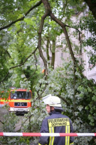 Zahlreiche Autos wurden in Dortmund beschädigt.