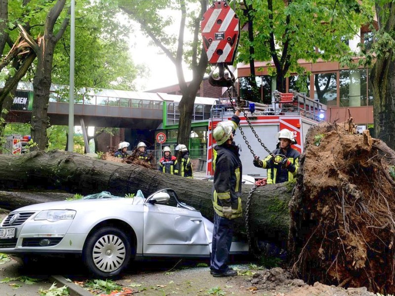 Glücklicherweise hatte niemand darin gesessen.