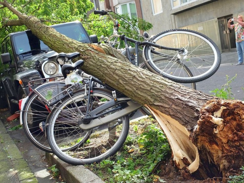 Versicherungen werden noch lange zu tun haben, die Schäden zu regulieren.