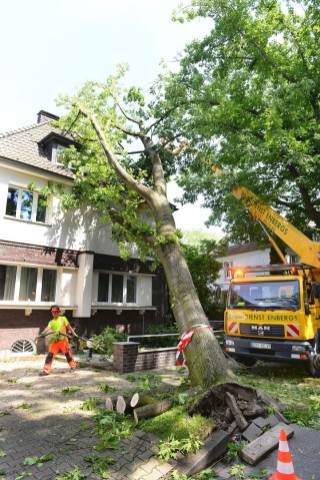 ...hier in Gelsenkirchen-Buer am Nollenpad. Ein...