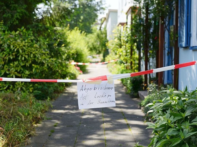 Vielerorts besteht Gefahr durch herunterfallende Äste.