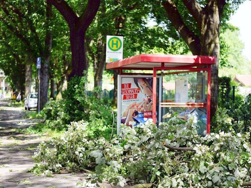 Besonders auf der Lotharstraße in Duisburg brachen durch den starken Wind zahlreiche Äste ab und stürzten auf die Straße.