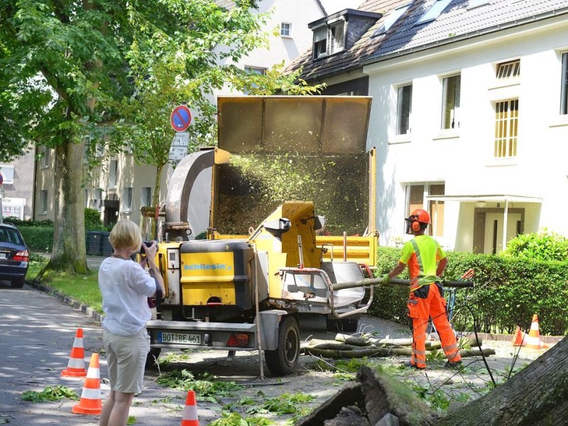 ...auf das Dach gefallener Baum muss beseitigt werden.