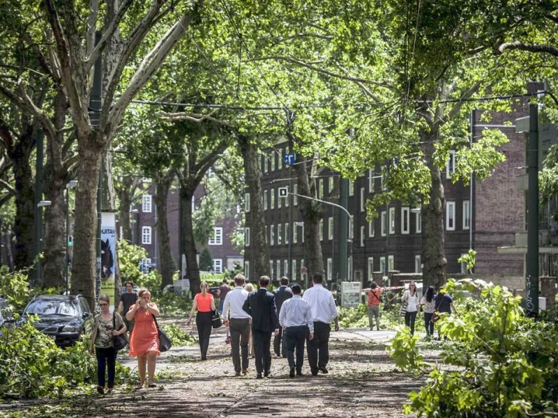 Düsseldorf wurde in der Nacht zum Dienstag von einer Unwetter-Katastrophe heimgesucht. Die traurige Bilanz: drei Tote, zehn Verletzte und Schäden in Höhe von zig Millionen Euro.