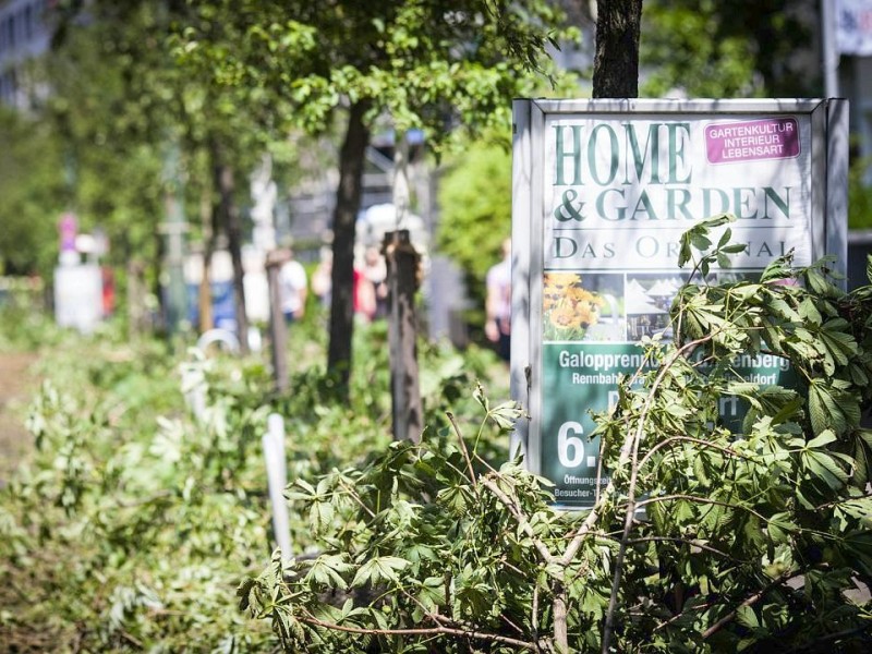 Düsseldorf wurde in der Nacht zum Dienstag von einer Unwetter-Katastrophe heimgesucht. Die traurige Bilanz: drei Tote, zehn Verletzte und Schäden in Höhe von zig Millionen Euro.