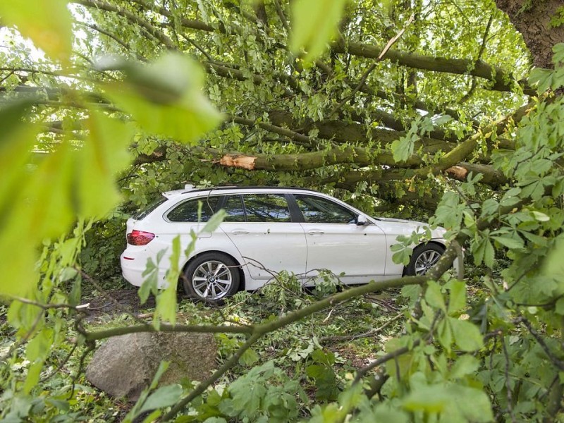 Düsseldorf wurde in der Nacht zum Dienstag von einer Unwetter-Katastrophe heimgesucht. Die traurige Bilanz: drei Tote, zehn Verletzte und Schäden in Höhe von zig Millionen Euro.