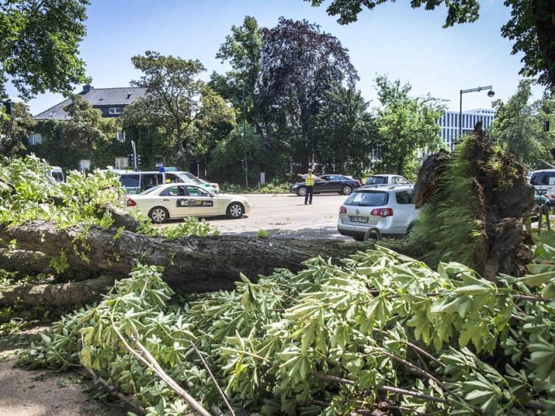 Düsseldorf wurde in der Nacht zum Dienstag von einer Unwetter-Katastrophe heimgesucht. Die traurige Bilanz: drei Tote, zehn Verletzte und Schäden in Höhe von zig Millionen Euro.