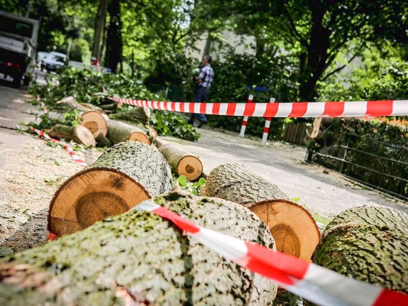 Düsseldorf wurde in der Nacht zum Dienstag von einer Unwetter-Katastrophe heimgesucht. Die traurige Bilanz: drei Tote, zehn Verletzte und Schäden in Höhe von zig Millionen Euro.